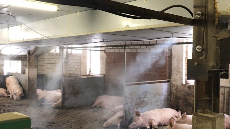 杭州美食直播带货公司：揭秘直播带货背后的秘密
