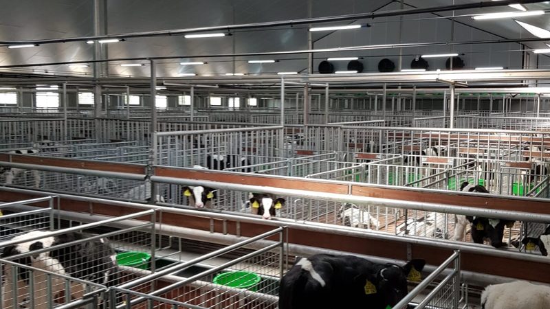 电商孵化公司收费模式揭秘：揭秘背后的逻辑与考量